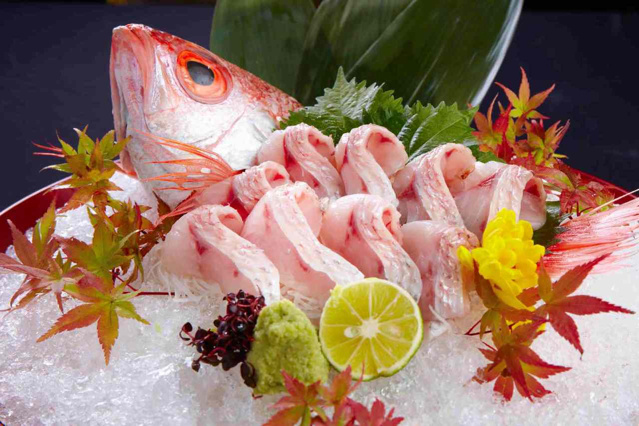 薩摩ごかもん