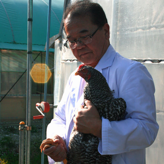 新橋シャモロック酒場