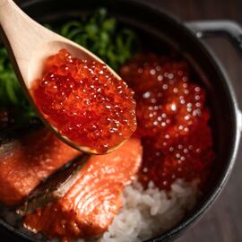 【飯】鮭＆米の定番かつ最高の組みあわせ